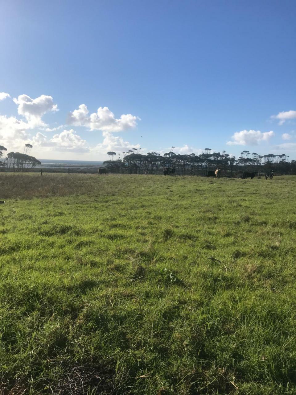 Karikari Lodge Tokerau Beach Eksteriør bilde